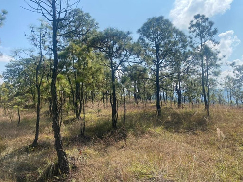 Terreno En Venta En Ex Hacienda San Lucas Del Pulque.