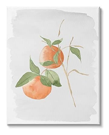 Pintura Dibujo Arte Stupell Industries Orange Branch Fruits 