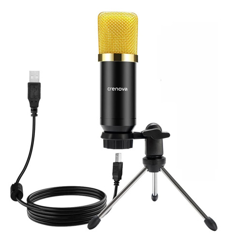 Microfono Condensador Bm-700 | Usb | Grabacion Y Streaming Color Dorado