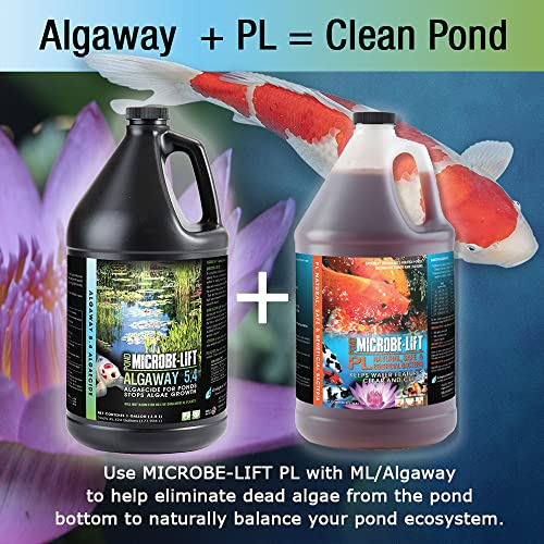 Alga16 Algaway 5.4 De Control De Algas Estanques Y Ja...