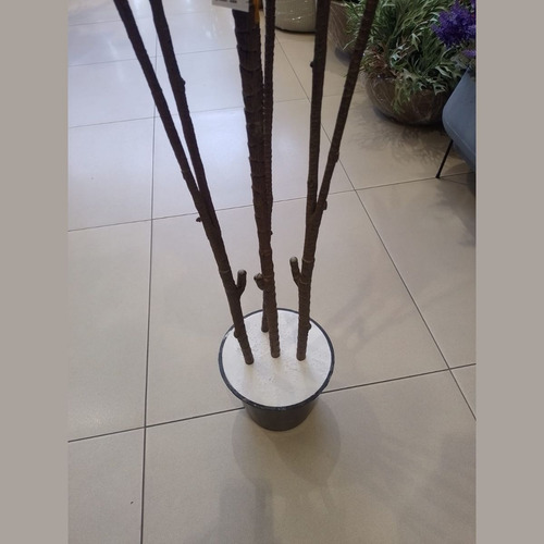 Arvore Dracena Cordyline Grande Verde Artificial Mambo