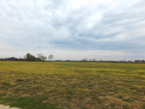 Imagen 2 de 8 de Venta - Lote 300m2 - Parada Robles - Exaltacion De La Cruz