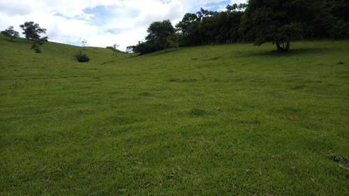 Imagem 11 de 12 de 01- Terrenos Em Jacareí A Preço Justo!