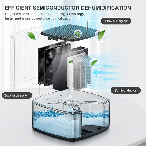 Deshumidificador Tolife Para Hogar Tanque De Agua De 800ml