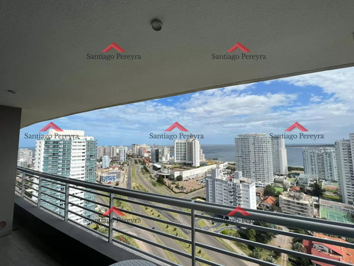 Hermoso Apartamento Con Excelente Vista! 