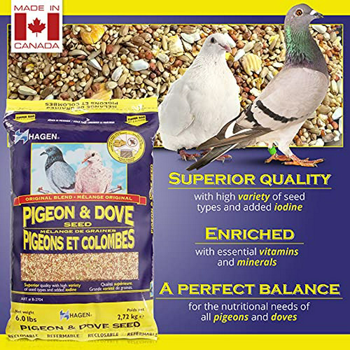 Alimento Completo Para Palomas Y Tórtolas Hagen, Versión Ori