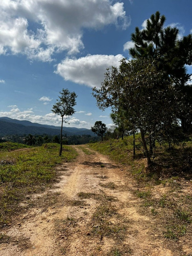 Imagem 5 de 9 de Terreno 600 M² Com Área Verde