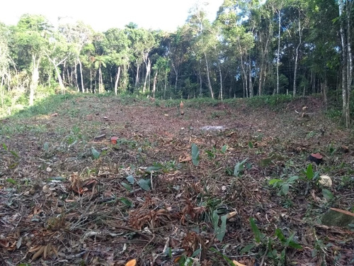 Lindo Terreno Com 23.000m²