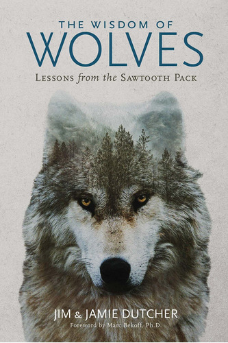 Libro The Wisdom Of Wolves: Lessons From The Sawtooth Pack