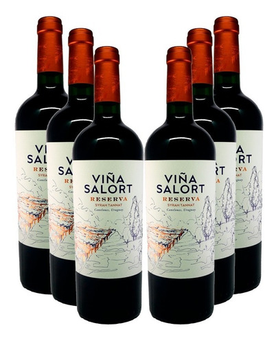 Vino Viña Salort Syrah  Tannat X6