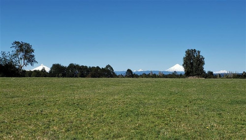 Imagen 3 de 16 de Agrícola En Venta En Río Bueno