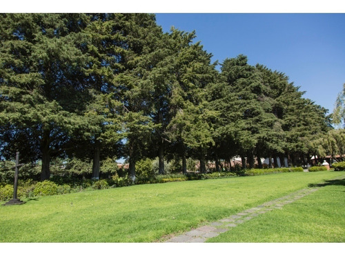 Imagen 6 de 13 de Espectacular Rancho En Venta