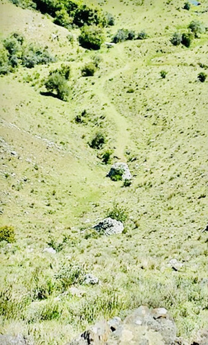 Venta Campo Lavalleja Minas