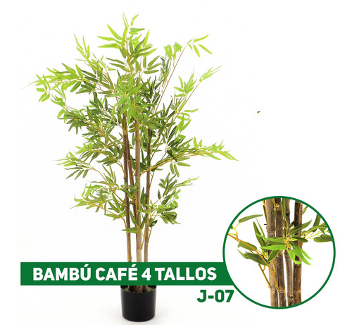 Bambú Café Con Macetero 4 Varas Green Outlet Envío Gratis