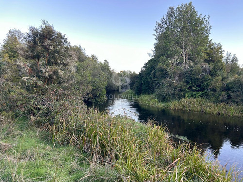 Parcela A Orilla De Rio Con 8000mtr2 C/u