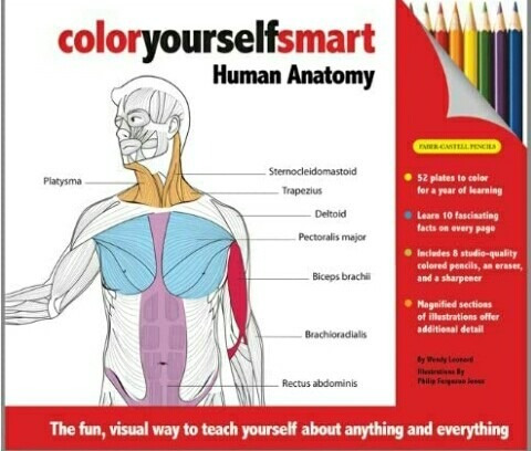Libro Colorea El Cuerpo Humano Anatomía Faber Castell Ingles