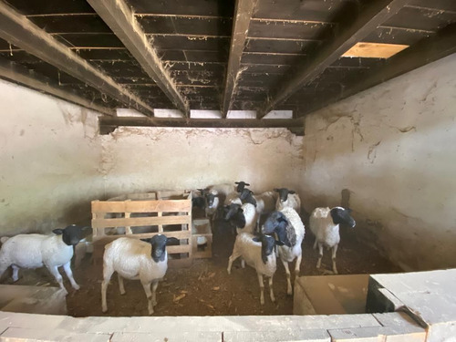 Rancho En Xochitlan