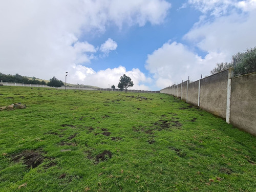 Terreno En Venta Tlalpan Santo Tomas Ajusco