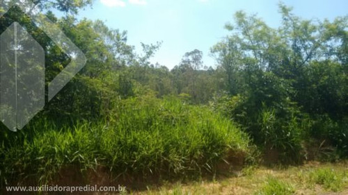 Imagem 5 de 6 de Terreno - Zona Rural - Ref: 180920 - V-180920