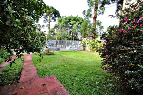 Imagem 8 de 10 de Terreno Para Venda - 91758.001