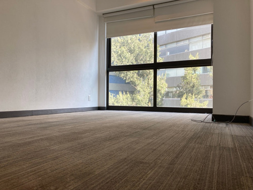 Imagen 13 de 14 de Departamento En Be Grand San Angel Mls176
