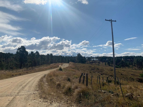 Imagen 5 de 6 de Lote Escriturado De 7432 M2 En Los Reartes- Cordoba