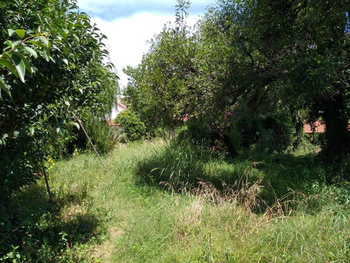 Imagen 25 de 25 de Chalet 3 Amb Amplio A Reciclar- Lote 880 M2 - V.ballester