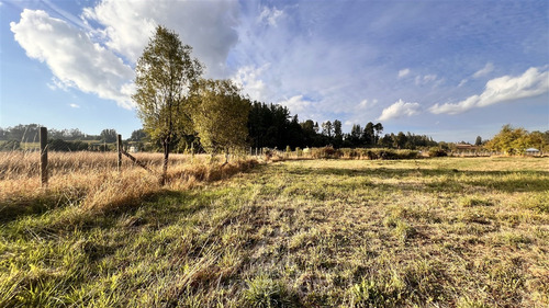 Vende Parcela Sector Botrolhue 6135m2, Acceso Banco Estado