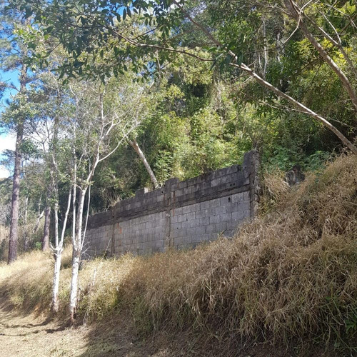 Imagem 3 de 14 de São Lourenço Da Serra/terreno C/riacho/gramado/ref: 05255