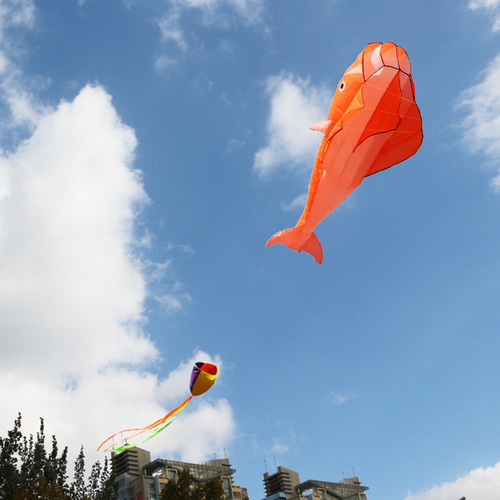 A Pipa Macia Sem Moldura Para Parapente Pipa Laranja Para