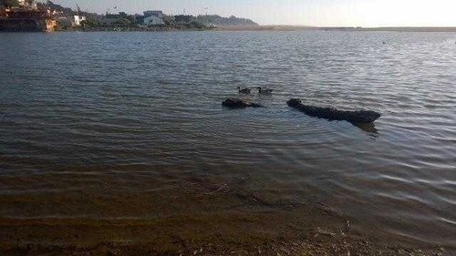 Se Arrienda Casa Laguna De Zapallar