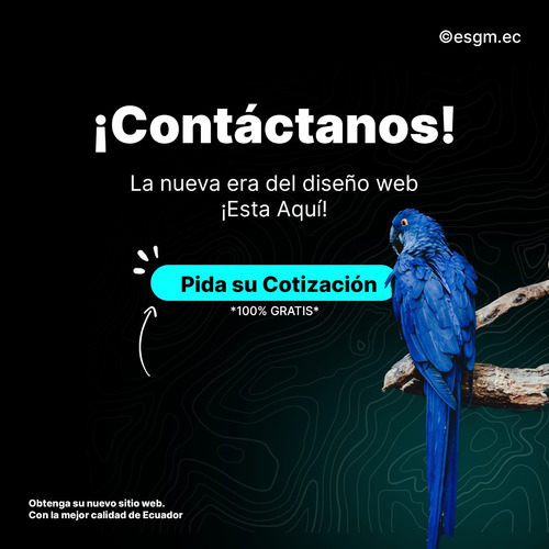 Imagen 10 de 10 de Diseño De Páginas Web, Sitios Web, Tiendas Online