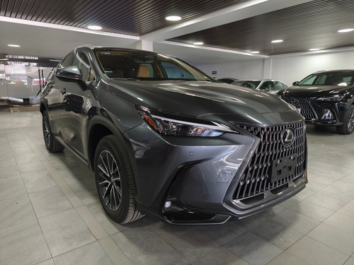Lexus NX 2.5 Nx 250 Awd