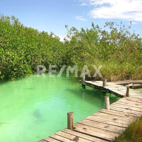 En Venta Amplio Terreno Ejidal Ubicado En Muyil, Tulum.
