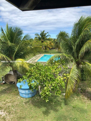 Imagem 14 de 15 de Sítio / Chácara Para Venda Em Camaçari, Monte Gordo (monte Gordo) - Da0117_2-1403407