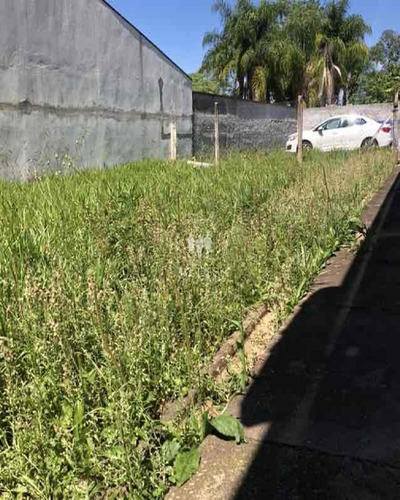 Linda Casa Térrea No Bairro Terra Nova - Ch00147 - 34483884