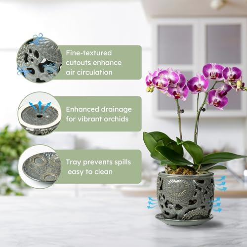 Maceta De Orquídeas De Cerámica, Macetas Para Orquídeas Con