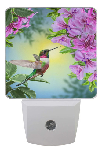 Juego De 2 Luces De Noche De Colibri De Primavera Con Flore