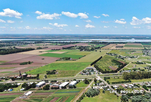 Venta De Terrenos En General Lagos. Barrio Ecolagos. Terrenos Desde 300 M2.