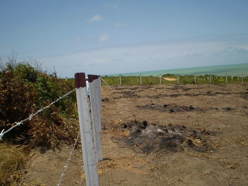 Imagem 17 de 30 de Magnífico Lote De 1.350m² Com Vista Mar À 250m De Praia Bela - Te0802