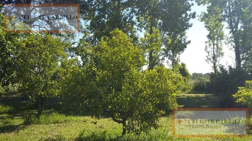 Venta - Chacra - Parada Robles