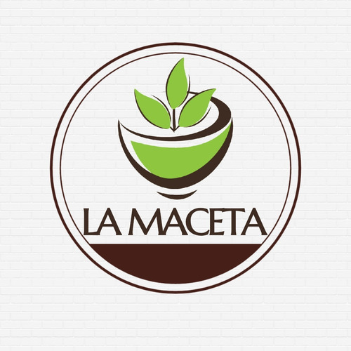 Imagen 2 de 2 de Piedritas Decorativas Cactus 5 Bolsas De 1/2kg Promo