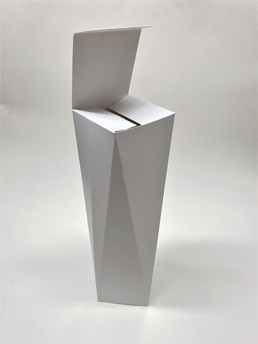 Imagen 5 de 9 de Caja Vino 1 Botella Regalo Champagne 9x9x34cm (x50u) - 212