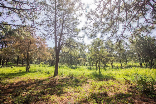 Terreno En Venta En Real De Encinos, Tapalpa, Jalisco.