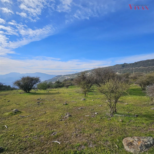 Sitio En Venta En Curicó
