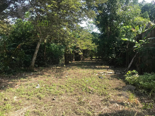 Imagen 3 de 12 de Terreno - El Torito