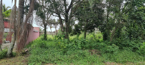 Imagem 2 de 4 de Terreno No Cibratel 2, Medindo 420 M², Em Itanhaém Ter158