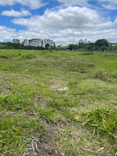 Imagem 3 de 14 de S01- 1.000m² Apenas 49.990 /100% Plano