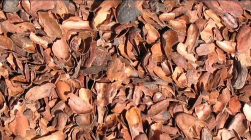 Cascarilla De Cacao Organico Tabasqueño 1 Kg