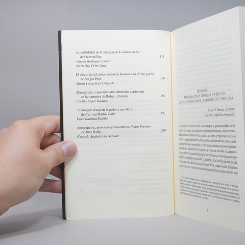 Imagen Literaria Gerardo Argüelles Fernández 2013